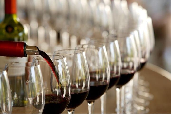 Maipo Valley Wine Tour from Santiago — Full-Day Boutique Vineyards & Tastings