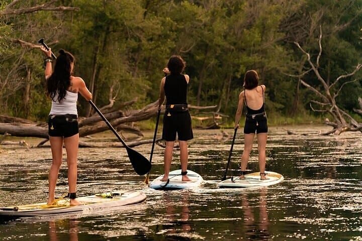 Intro to Stand-Up Paddleboarding on Toronto Islands — 75-Min Lesson photo 3