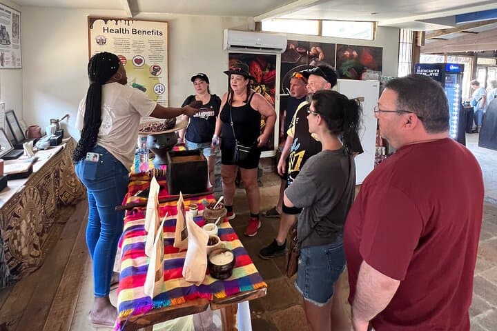 Roatan Local Island Tour: Beach Breaks, Rum Tastings & Wildlife photo 5
