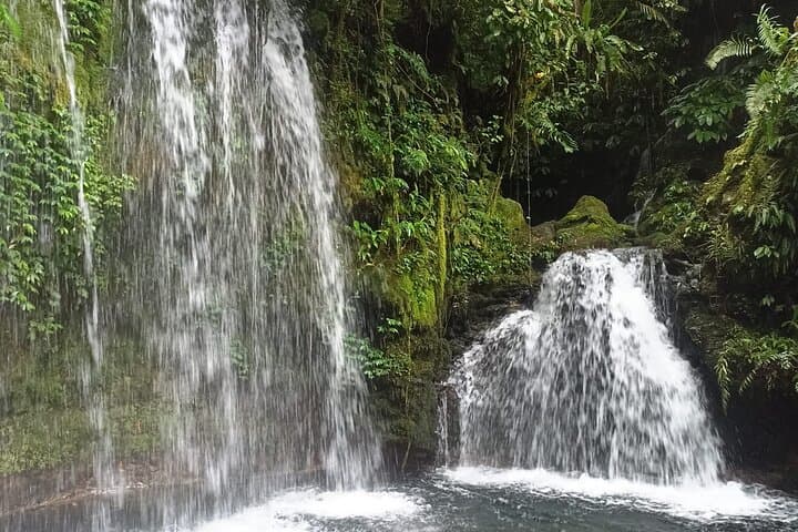 Jungle Trek to Jatiluwih Rice Terraces — 6-Hour Trek in Tabanan, Bali photo 4