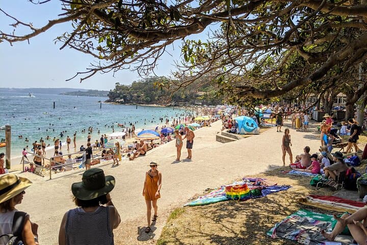 Full-Day Private Sydney Tour: The Rocks, Watsons Bay & Bondi Beach
