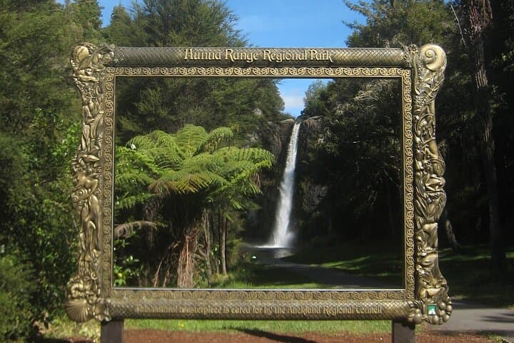 Coast-to-City Auckland: Hunua Falls, Pohutukawa Coast & Sky Tower Edge Walk photo 3