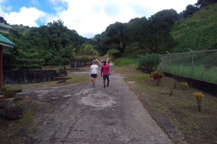 La Soufriere Summit Hike: Conquer St. Vincent’s Active Volcano photo 4