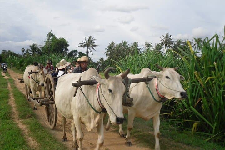 Siem Reap Village Cooking Class & Oxcart Ride — Hands-On Khmer Culinary Experience photo 3
