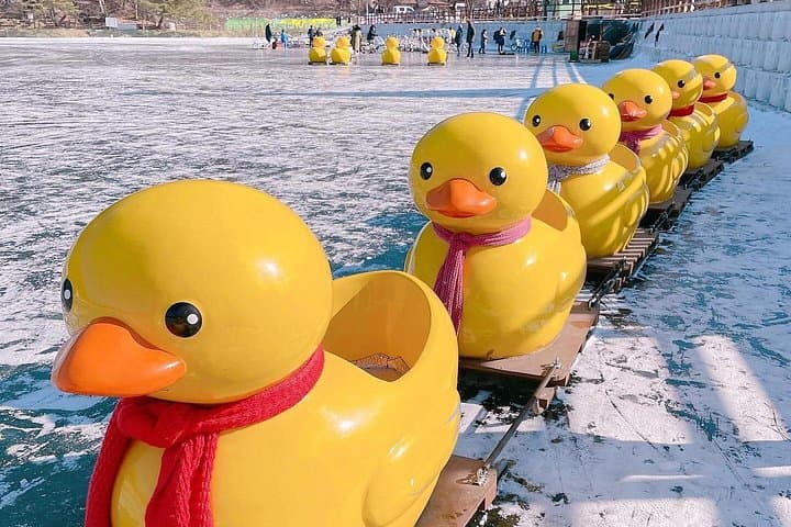 Winter One-Day Tour in Pocheon: Strawberries, Ice Walls & Herb Island photo 1