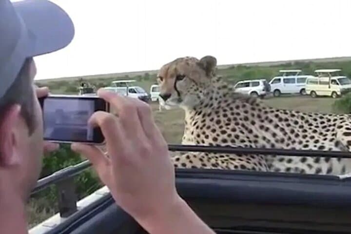10-Day Kenya Honeymoon Safari: 4x4 Land Cruiser Camping Through Maasai Mara, Ol Pejeta & Aberdare