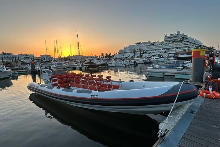 Vilamoura Dolphin Safari to São Rafael Caves — 2‑Hour Coastal Cruise photo 3