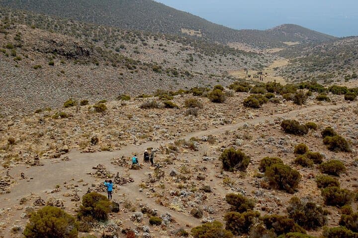 6-Day Machame Route: Private Mount Kilimanjaro Climb to Uhuru Peak photo 3