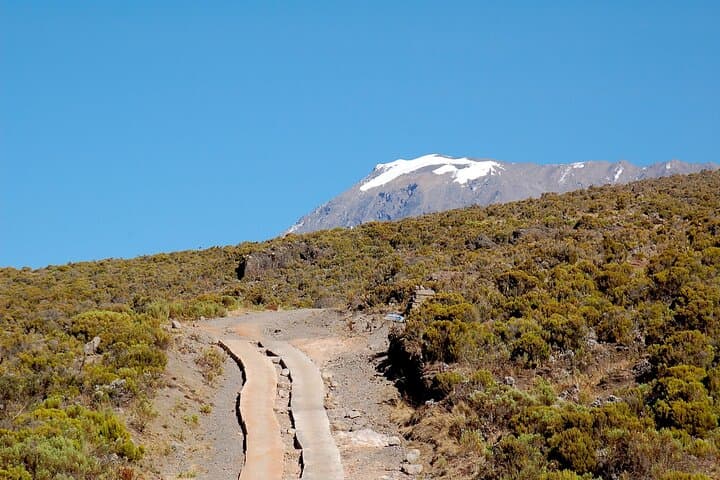 6-Day Machame Route: Private Mount Kilimanjaro Climb to Uhuru Peak photo 4