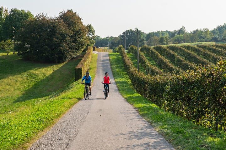 E-Bike Through Prosecco Hills: 6-Hour Private Valdobbiadene Tour photo 2