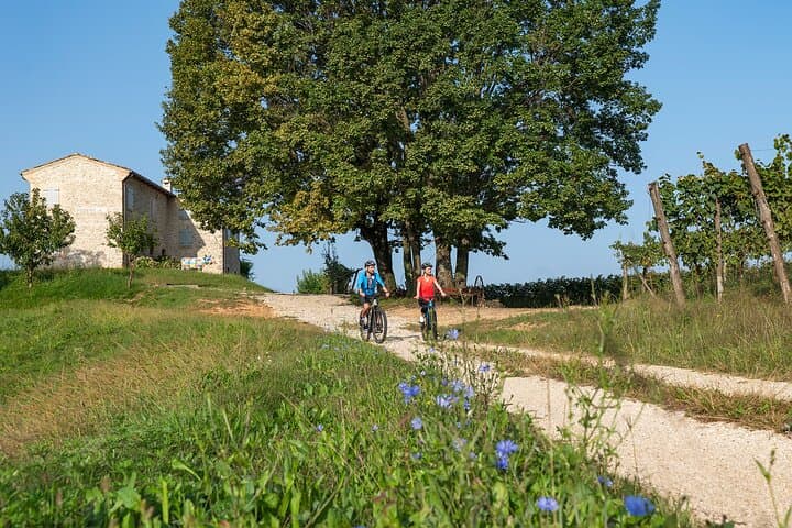 E-Bike Through Prosecco Hills: 6-Hour Private Valdobbiadene Tour