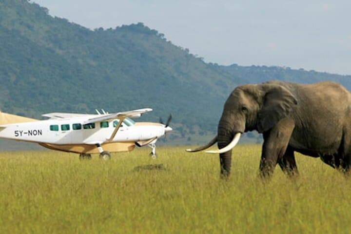 8-Day Best of Kenya Flying Safari — Samburu, Masai Mara & Amboseli