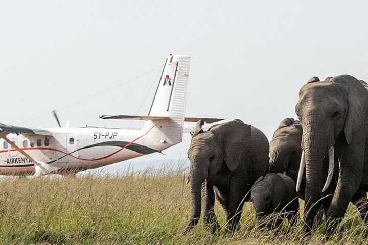 Kenya Flying Safari: 8-Day Samburu, Masai Mara & Amboseli Lodge Adventure photo 4