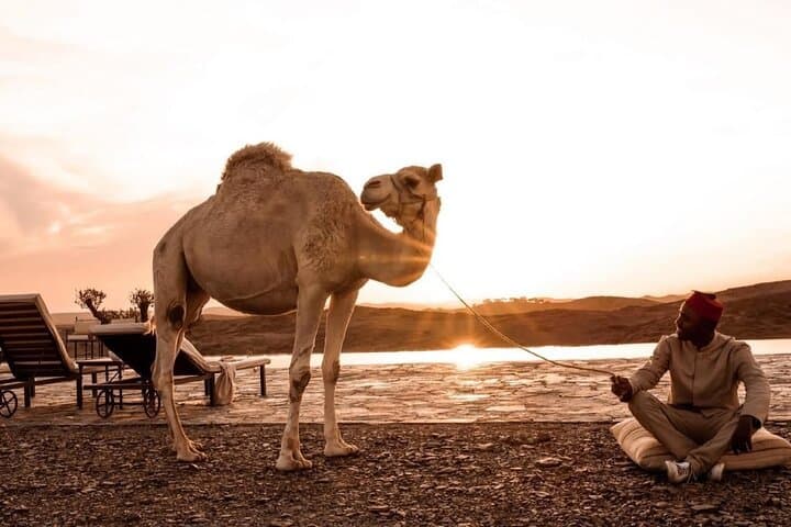 Overnight in Agafay Desert: White Camel Camp Experience Near Marrakech