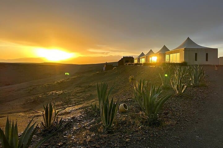 Overnight in Agafay Desert: White Camel Camp Experience Near Marrakech photo 5