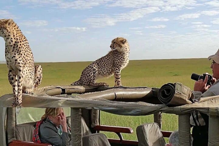 3-Day Maasai Mara Camping Safari: 4x4 Land Cruiser Game Drives from Nairobi photo 2