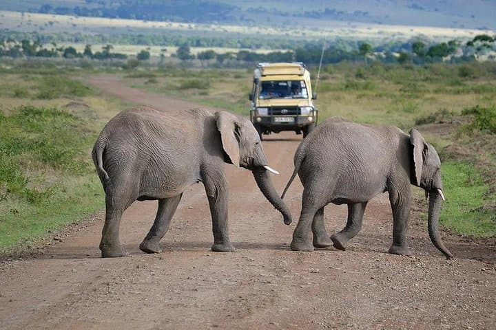 4-Day Safari: Maasai Mara & Lake Nakuru at Sarova Lodges photo 4