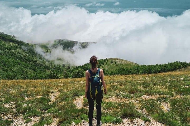 Full-Day Private Tour: Gjipe Canyon, Llogara Pass & Albanian Riviera Drive