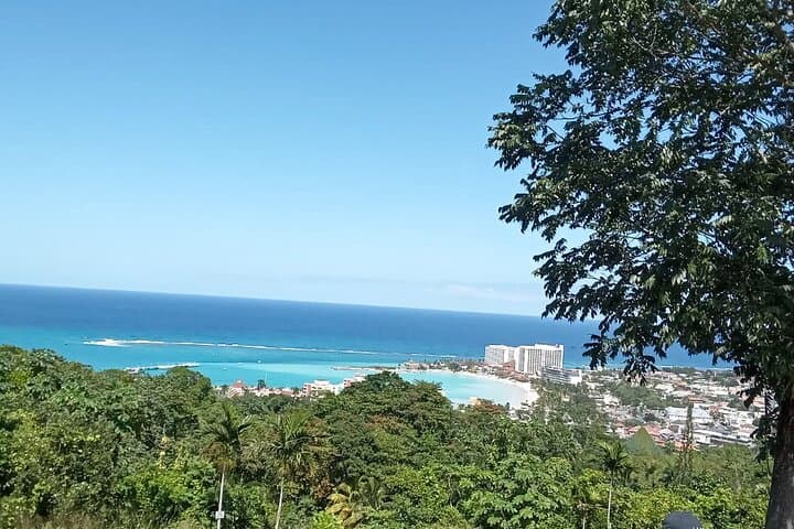 Ocho Rios Shopping & Coastal Overlook — Half-Day from Falmouth