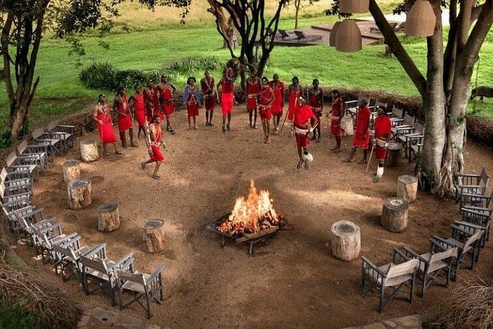 3-Day Masai Mara Private Safari in Landcruiser — Mid-Range Big Five Game Drives photo 3