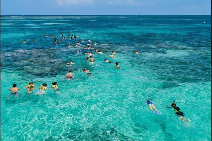 Punta Cana Catamaran Party and Snorkel Cruise with Open Bar photo 4