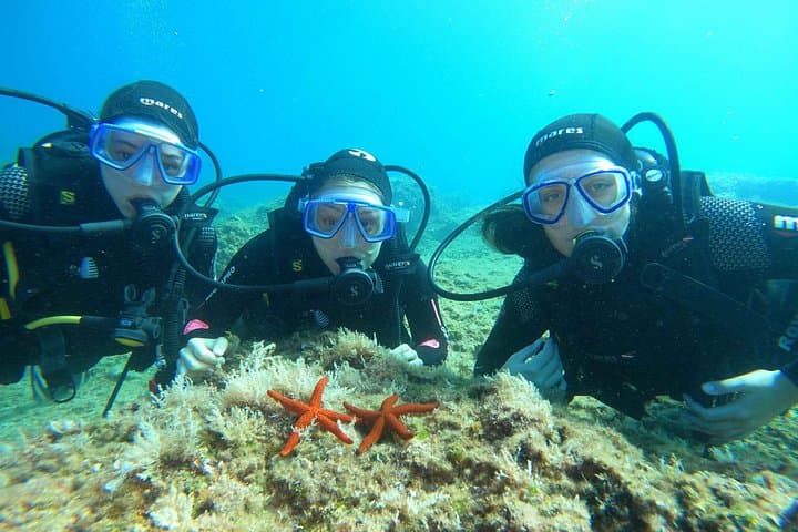 Discover Scuba Diving in Dubrovnik: 2-Dive Intro to the South Adriatic photo 3