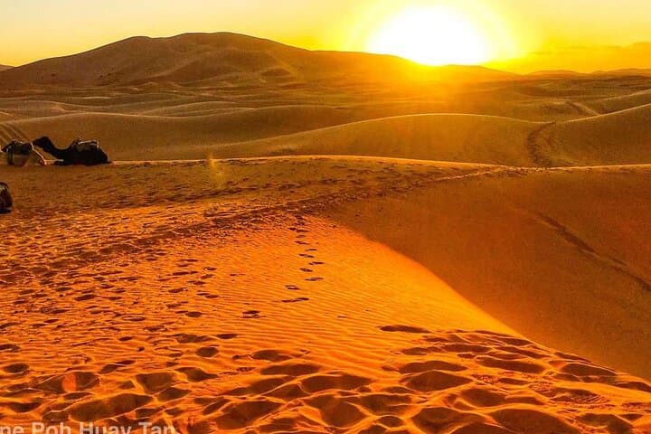 2-Day Zagora Desert Tour from Agadir: High Atlas Pass, Draa Valley & Camp Experience photo 2