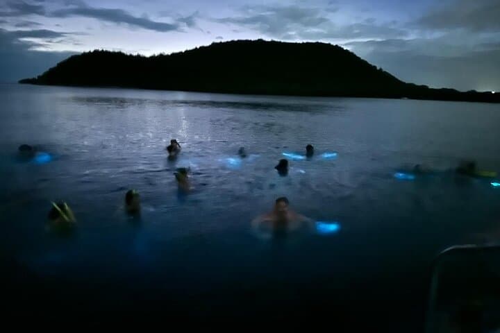 La Parguera Bioluminescent Bay Boat Ride and Night Swim from San Juan photo 2