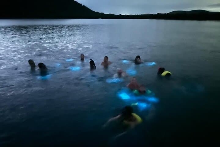 La Parguera Bioluminescent Bay Boat Ride and Night Swim from San Juan photo 4