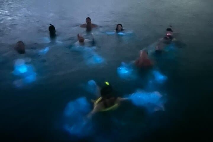La Parguera Bioluminescent Bay Boat Ride and Night Swim from San Juan photo 5