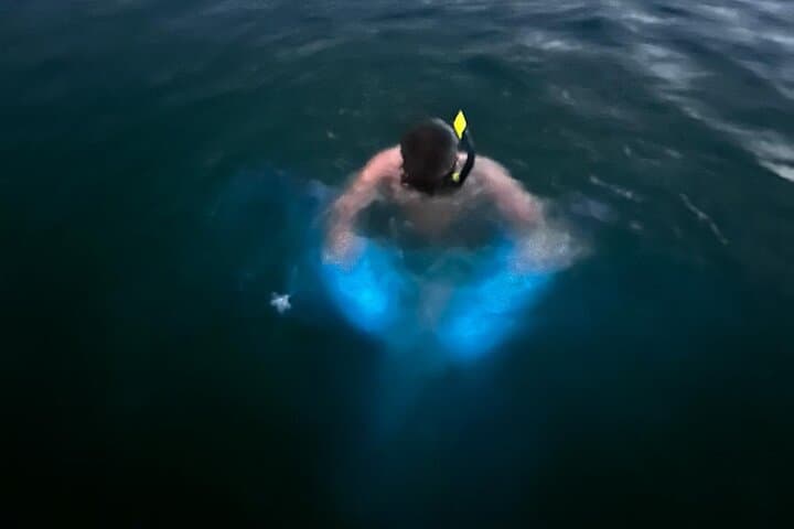 La Parguera Bioluminescent Bay Boat Ride and Night Swim from San Juan photo 3