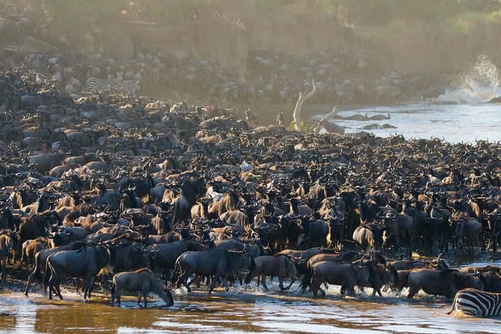 3-Day Serengeti and Ngorongoro Safari: Plains, Wildlife & Maasai Culture photo 5