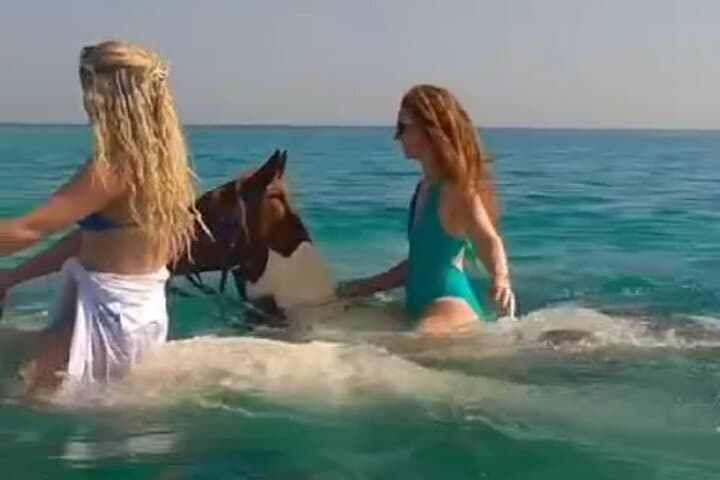 Stone Island Horseback Riding in Mazatlán — Catamaran Transfer & Beach Club Ride photo 2