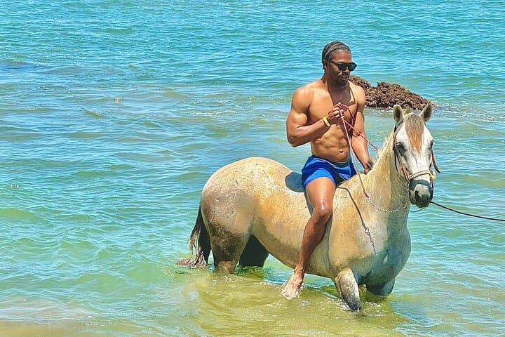 Stone Island Horseback Riding in Mazatlán — Catamaran Transfer & Beach Club Ride photo 1