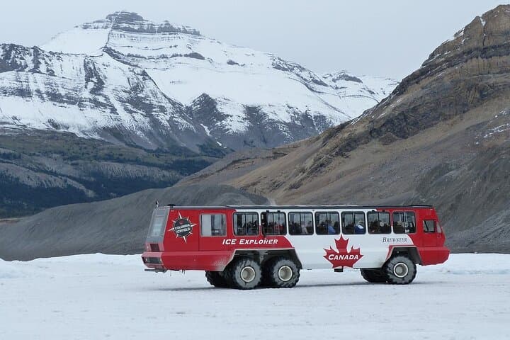 Columbia Icefield, Peyto Lake & Bow Lake: Icefields Parkway Day Trip from Calgary photo 4
