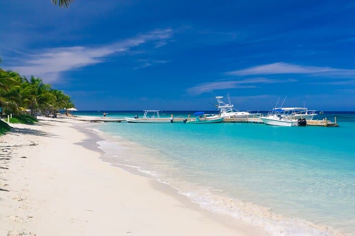 From Sloth Park to West Bay: Roatán Day Pass for Wildlife and Beach