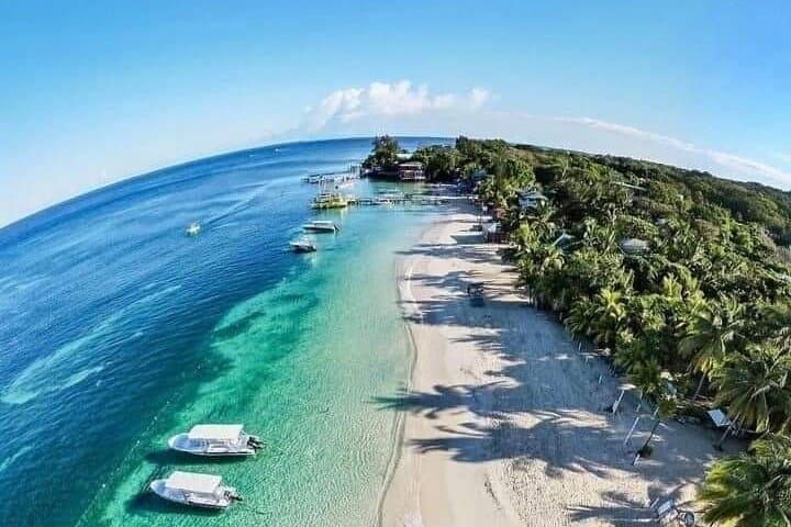 From Sloth Park to West Bay: Roatán Day Pass for Wildlife and Beach photo 5