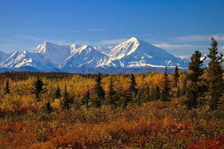 Fairbanks to Denali Shuttle: Practical Guide to the Shared Park Entrance Transfer