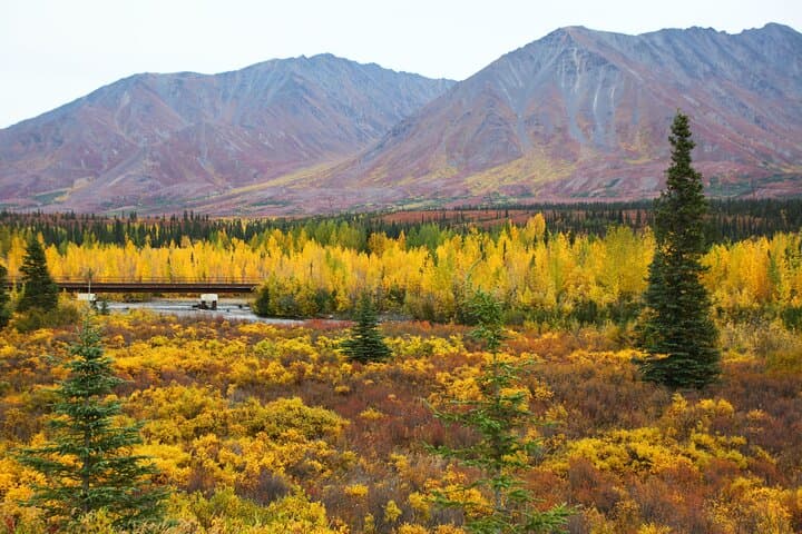 Fairbanks to Denali Shuttle: Practical Guide to the Shared Park Entrance Transfer photo 3