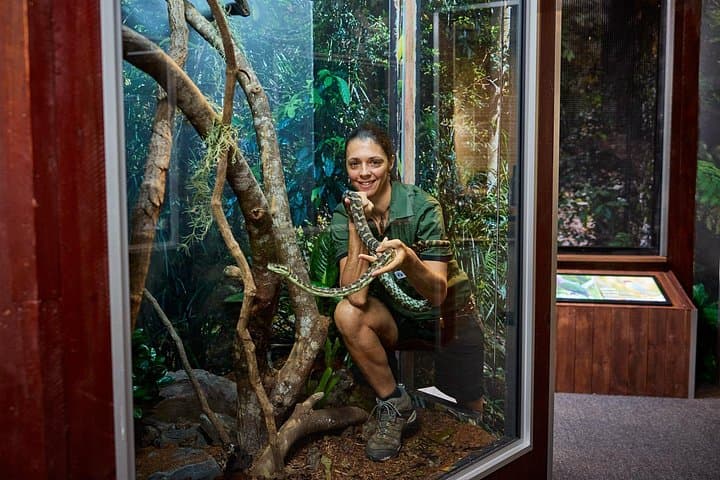 Cairns Koalas & Creatures at the Pier: Family Wildlife Encounter by the Reef photo 2