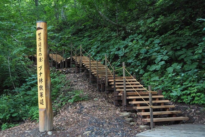 Shirakami Mountains Full-Day Hiking Tour: Anmon Falls & Ancient Beech Forest Trek photo 4