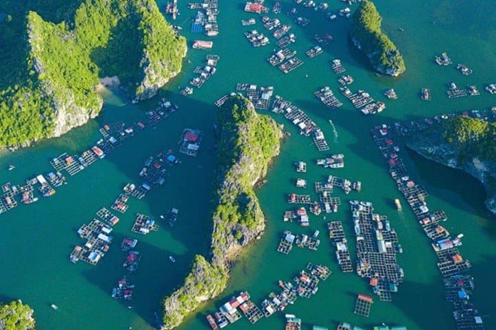 Lan Ha Bay Full-Day Boat Tour from Cat Ba: Kayak, Floating Villages & Beaches photo 4
