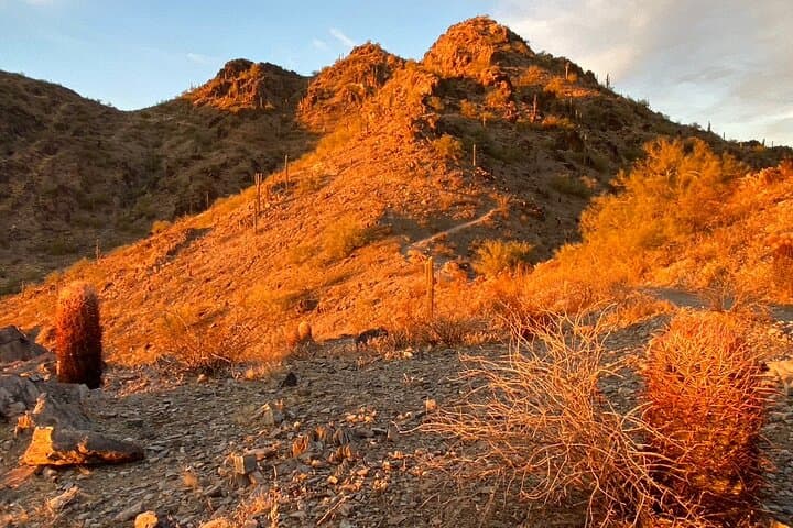 Sunrise Hike in Phoenix Mountains Preserve: Guided Sonoran Desert Trek photo 4