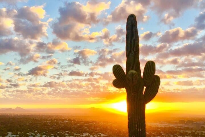 Sunrise Hike in Phoenix Mountains Preserve: Guided Sonoran Desert Trek photo 5