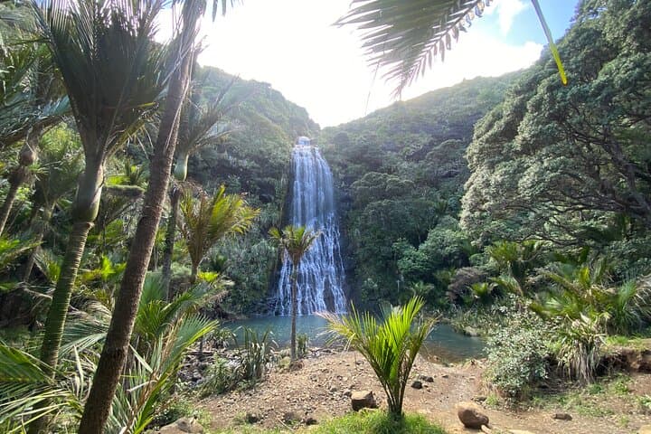 Piha & Karekare: West Coast Waterfalls, Black Sand Beaches and Lion Rock Viewpoints photo 3