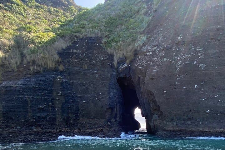 Piha & Karekare: West Coast Waterfalls, Black Sand Beaches and Lion Rock Viewpoints photo 5