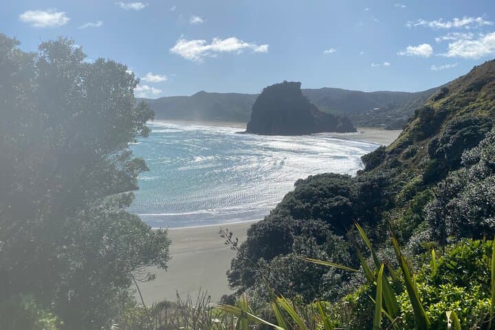 Piha & Karekare: West Coast Waterfalls, Black Sand Beaches and Lion Rock Viewpoints photo 6