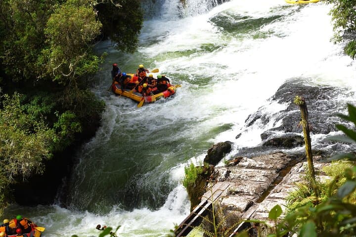 10-Day North-to-South Island Private Tour from Auckland — New Zealand Highlights photo 6