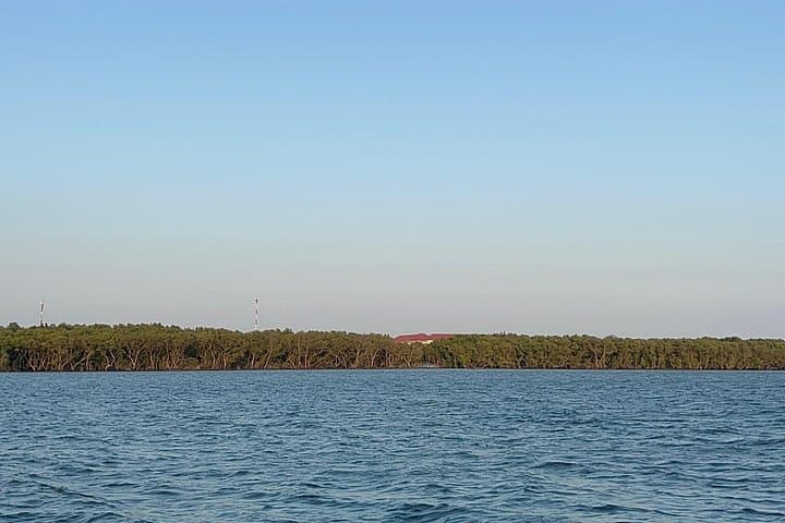 Can Gio Mangrove & Thanh An Island Private Tour from Ho Chi Minh City photo 1