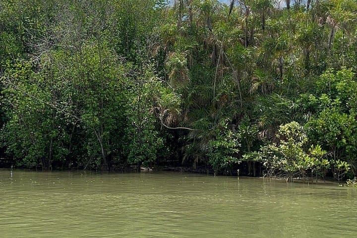 Can Gio Mangrove & Thanh An Island Private Tour from Ho Chi Minh City photo 4